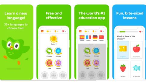 تطبيق Duolingo أفضل تطبيقات تعلم اللغات الأجنبية